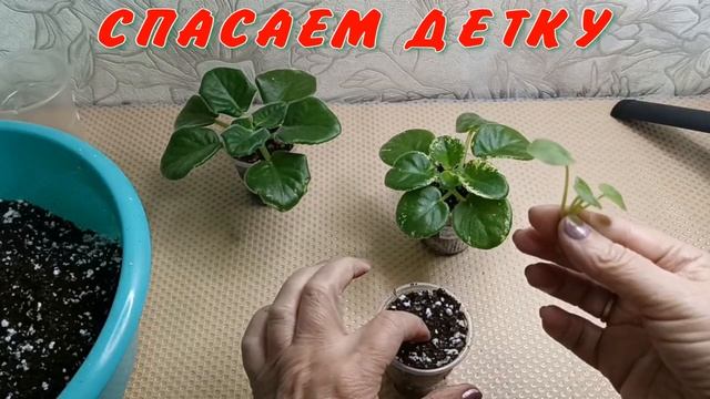 F8b6535441e8e337e3c38e97594c098b