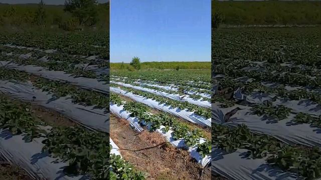 129b20b4d62e40e5017de37bdf9d442c