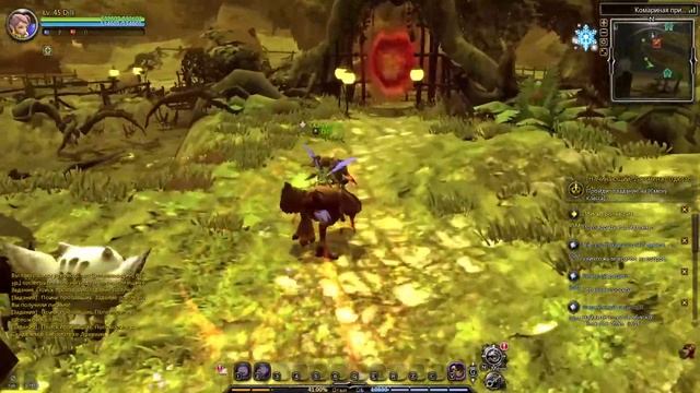 New Dragon  Nest - Прокачка до 45ур