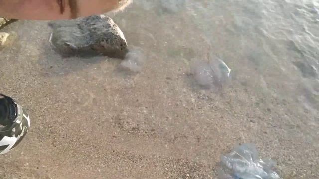 Мотопутешествие выходного дня. Таганрог - Должанская ?