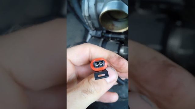 Электрический утконос