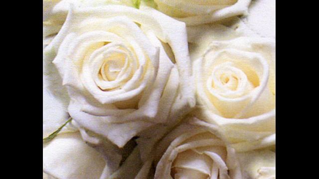 Laskoviy May - Belie Rozi // Ласковый май - белые розы ♥