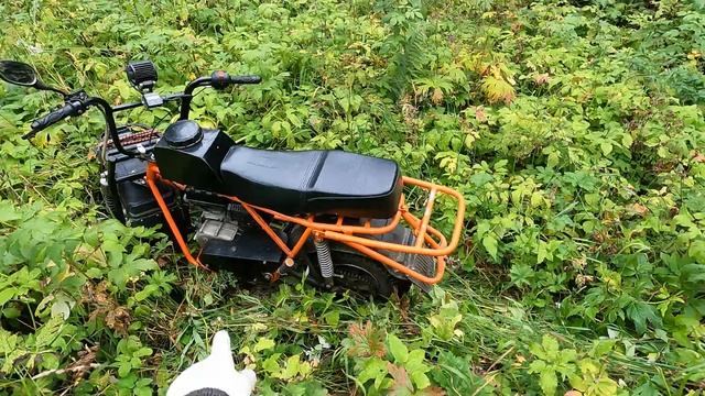 Мотоцикл Скаут Сафари-3 Немного прокатился. Чем снимаю