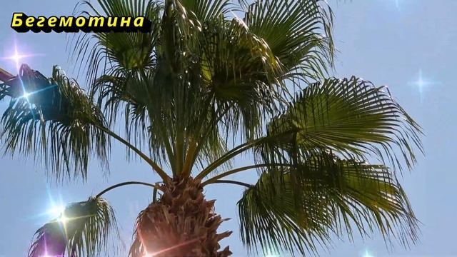 Почему бабушки так делали? Положите чеснок под подушк?