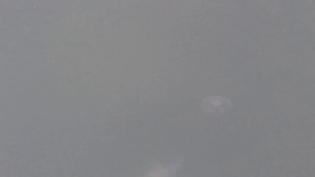 Сезон открыт )) Красиво плывут вон та группа в полосаты