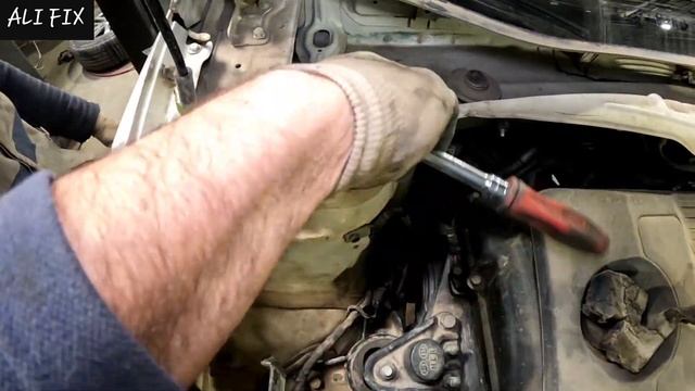 Светлые образы