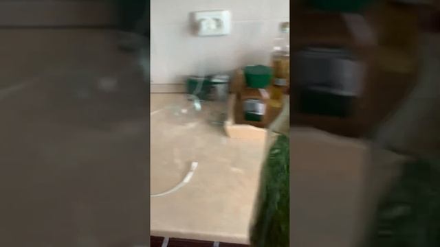 Начало заготовок/Сушу зелень/Петуневые подушки/Натал?