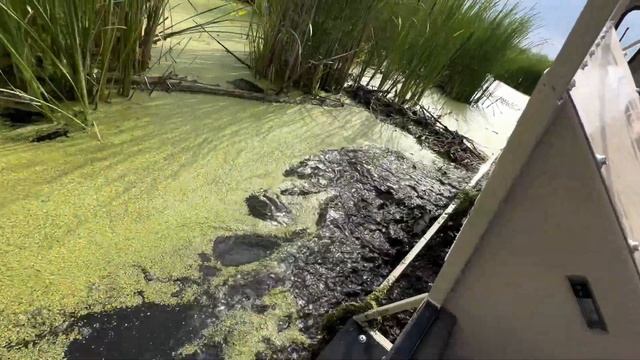 ШЕРП БОЛЬШЕ не НУЖЕН. 