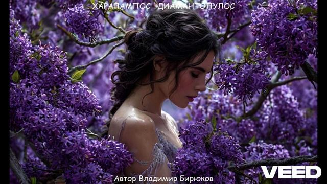 Тянет ветку сирени куст