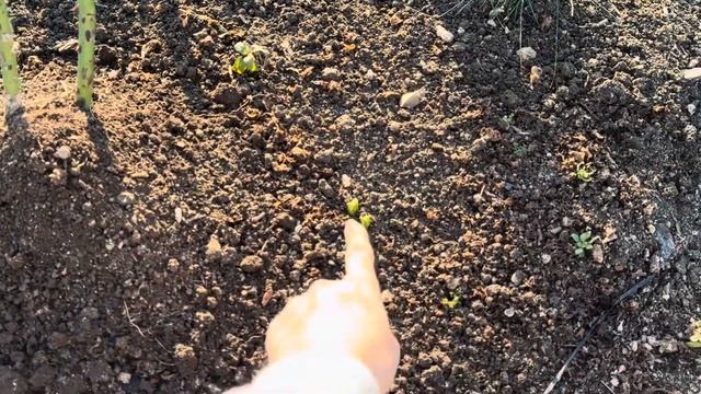 41a06ff29cbc1519d057801e16e732c8