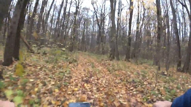 Катаюсь на электро велосипеде в лесу