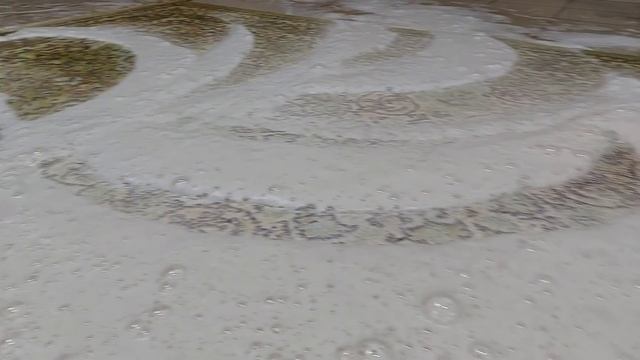 Немолодой шерстяной ковёр получает спа-процедуры / An El