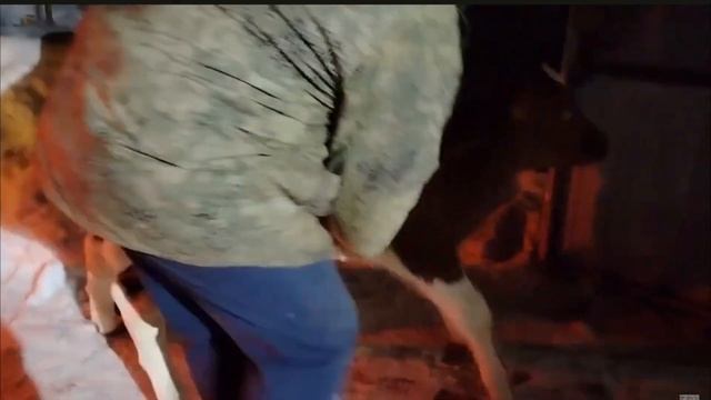 5e4afd4b5738a543f3d4fbdb5c69ca00