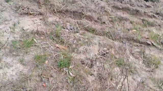 Тест драйв по піску Fada Бізон #трицикл #мопед #скутер #мо