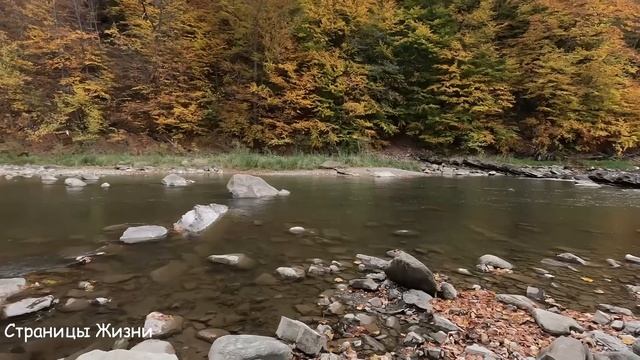 Думала муж бездельник валяется на диване, но подслуша?