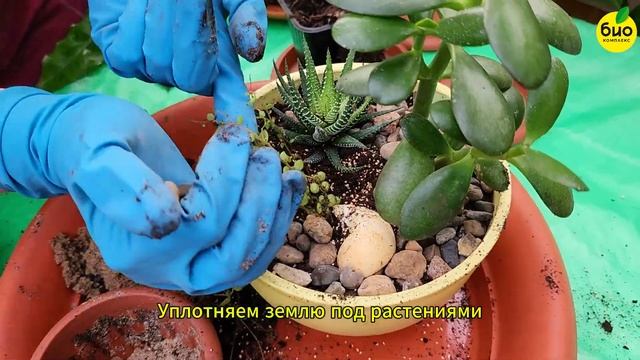 A354fbf86c7277f2902339d6671d3084