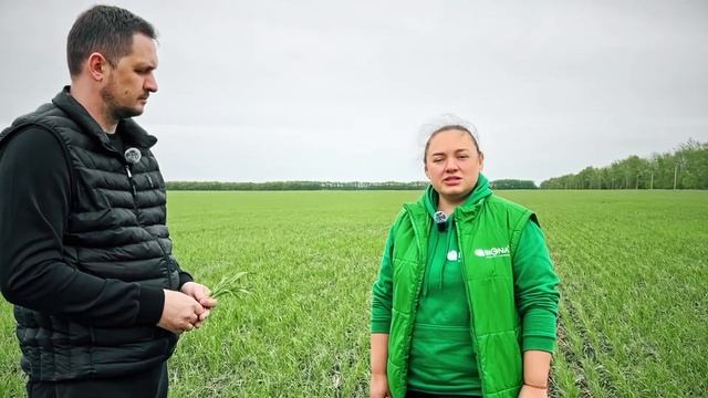 822b847cc42c6f3f097cad086ad1b6e5