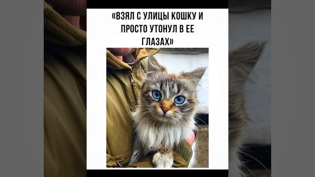 4a12b79cff91d22c6f2c6aab9d2a8ce1