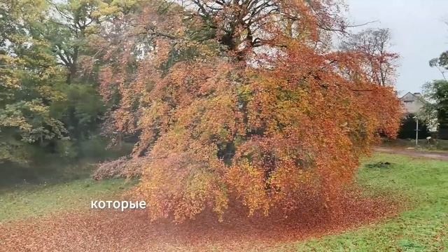 Муж бросил жену БЕЗ КОПЕЙКИ умирать на УЛИЦЕ. Но увиде?