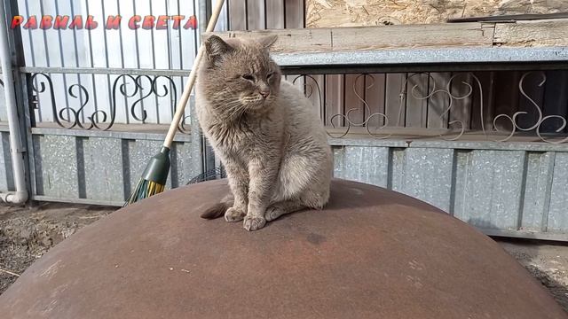 Как живут люди в КАЗАХСТАНЕ KZ /Первые цветы ПОДСНЕЖНИК