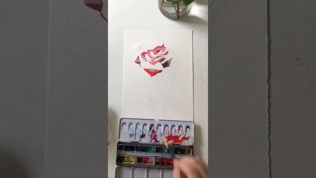 Роза 92/100 акварелью часть 1