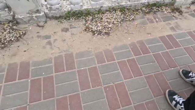 Влог скейт-парк Воронеж