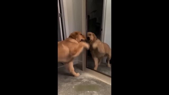 203f8745fdee5b2fd92c6791d02841e6