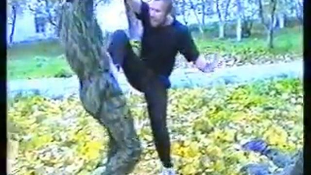Система рукопашного боя 
