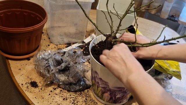 A222f4c665e4637e74873459b2e0964f