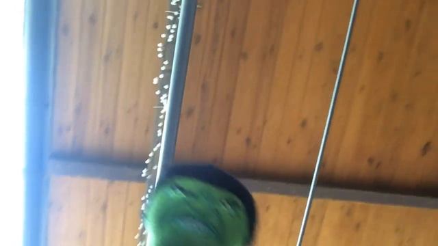 B428951635383df2494657b20b02d6a5