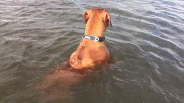 061a24c792f7ea2adf6557c67619bcbe