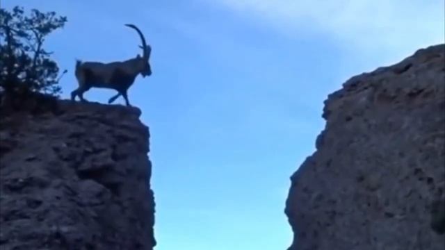 Ada9f4a5020d405dde02d6f6a260a9b6