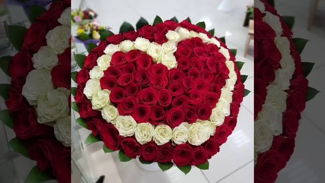 A9e02309c5f49154f711efa945ee5d1f