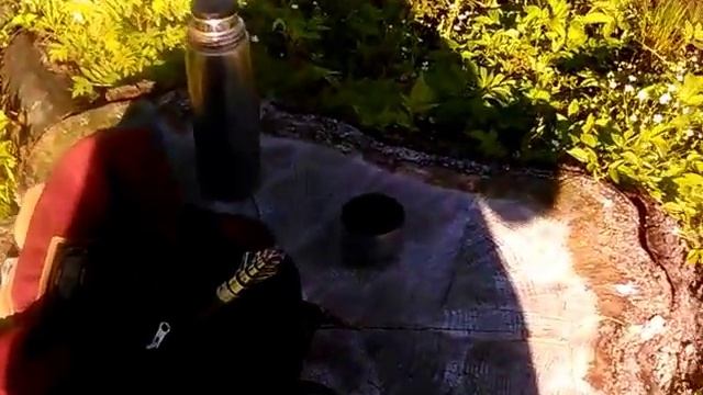 Вот это пенёк!.. или столик.