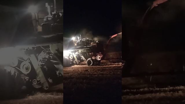 уборка пшеница по 30сентенер за гектар 🌾🌾🌾