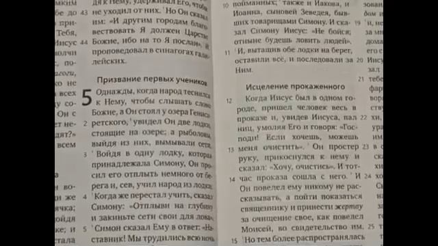 💥 ТАКОГО ВИДЕО НЕ ПОКАЖУТ ПО ЯЩИКУ (09.01.2025) ПЛАТОШКИН Н