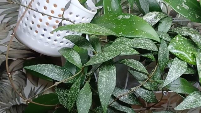 F7f2d83ee0a23fe362b9599b662419f9