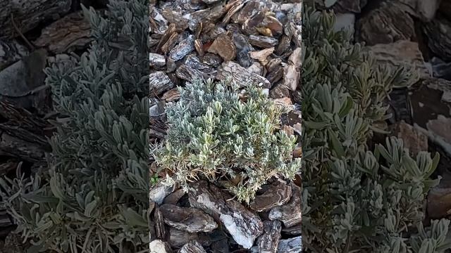 0fb91c791a0b3426ab0a2ed0cc1f9444