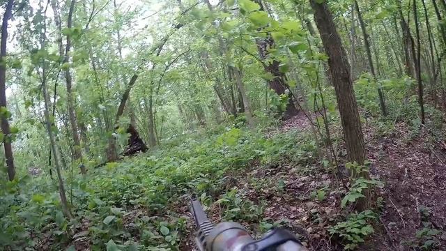 Тренировка домодедово