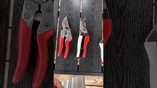 038ea723de7470b5412fd5950e028b32