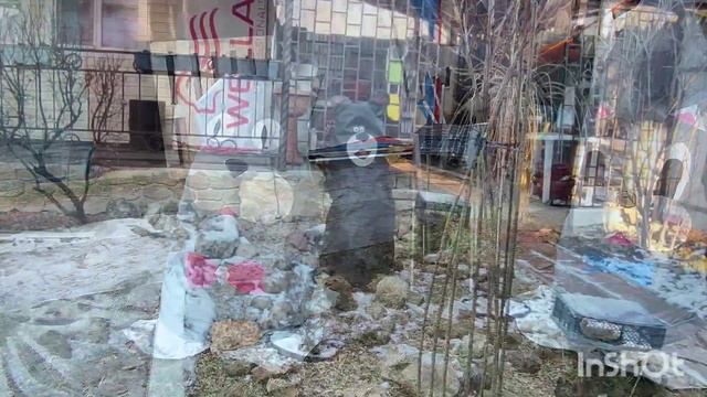 После урагана на даче. Прогулка-Обзор-Обновки