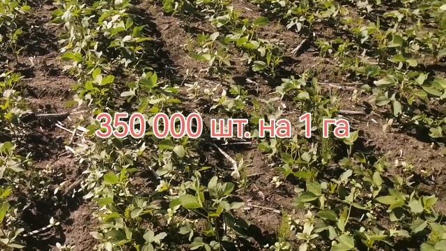 80ca8462cae70663794613e9a1f1141b