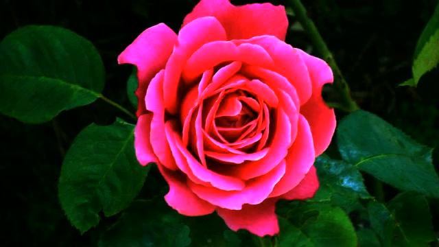 крутая музыка