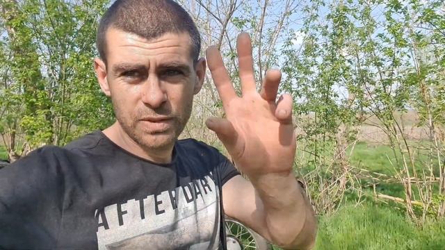 Мотоцикл Урал, выехали полить деревья в лесочке.