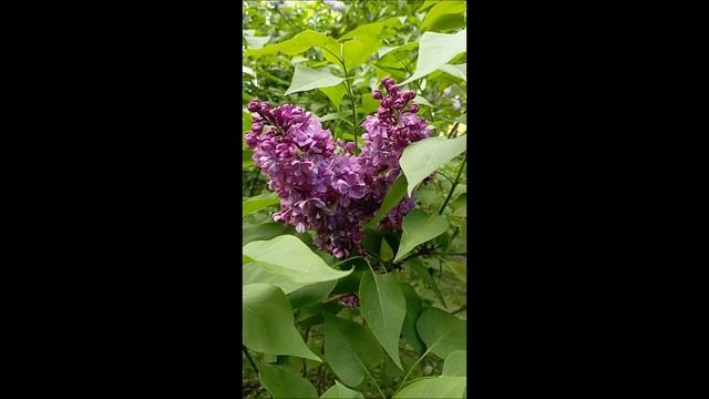 Cc3b07344b167c258b67c522b18c6ba8