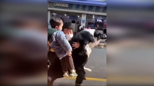 Хочу на ручки