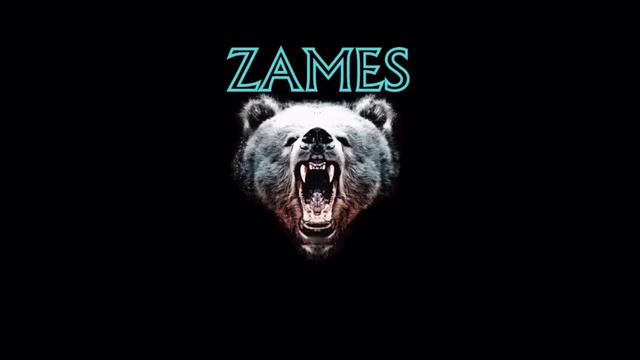 ZAMES - Приглашение на DangerousFest Party I 11 декабря 2015