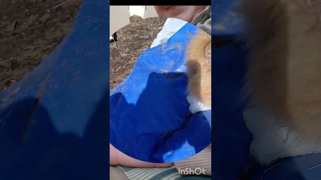 с Днём рождения, Персик🎉🎉