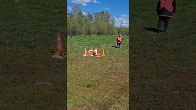 1d010757d45bc0398308c78aabb03a3f