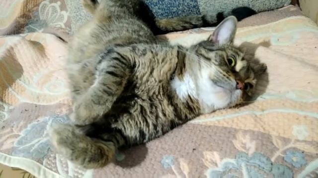 5de8d428a6e33d0e2840e7a3e4f01de8